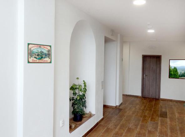 Penzion U Provaznika Zdíkov エクステリア 写真